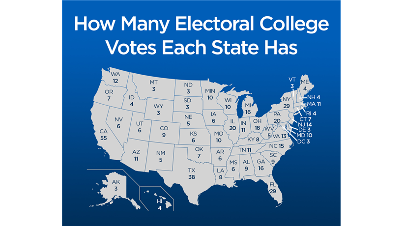 U.S. election: How does the Electoral College work? - image