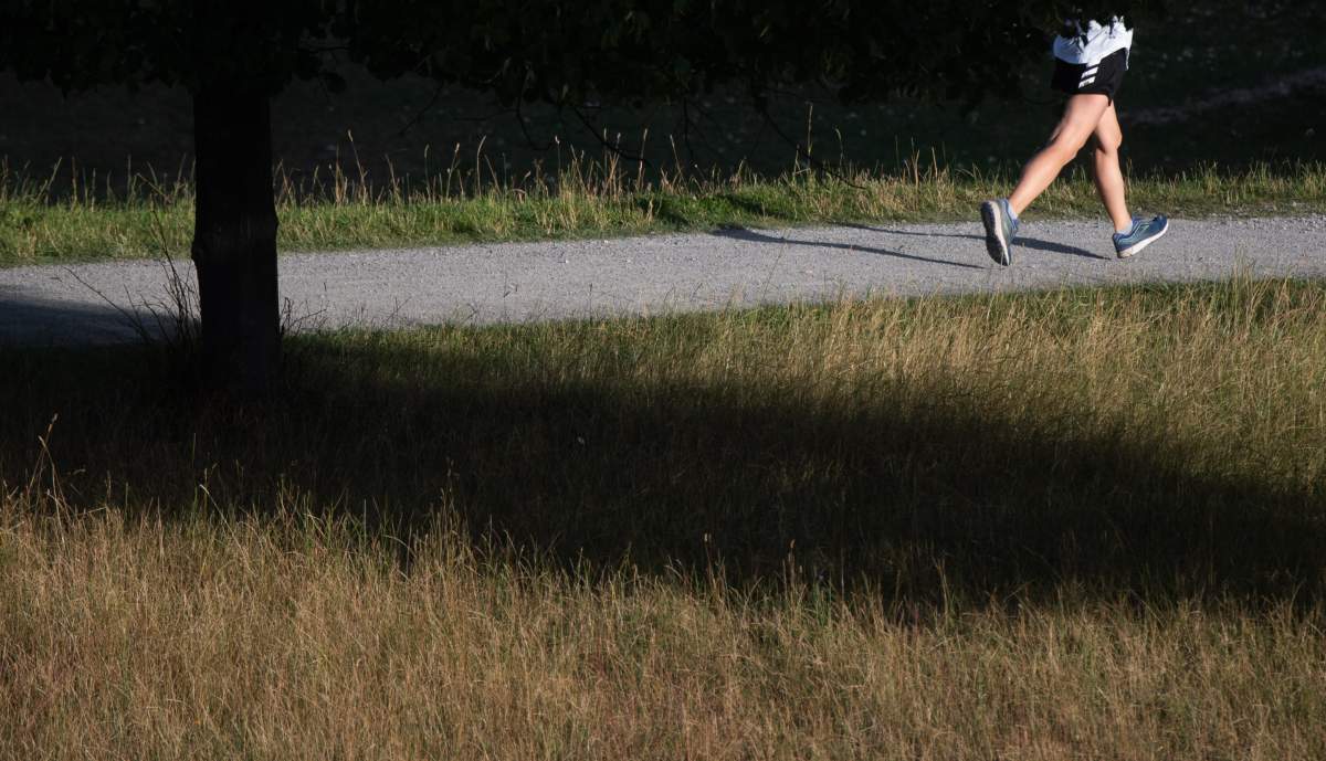 A female jogger is running along a dirt road in the early morning.