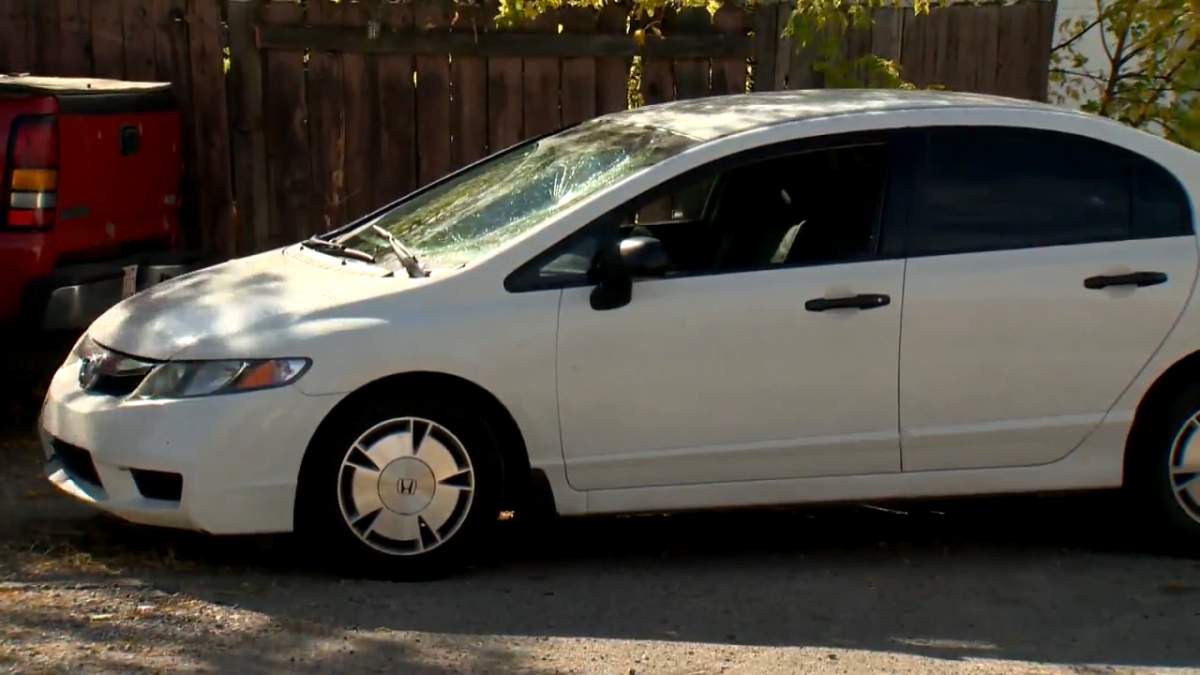 An elderly pedestrian was transported to hospital in critical condition on Thursday. Sept. 24, 2020. after being hit by a vehicle. He died in hospital on Tuesday, Oct. 6, 2020.
