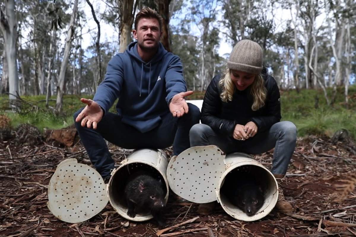 Chris Hemsworth and Elsa Pataky release two Tasmanian devils into the wilds of Australia in this Sept. 10 photo.
