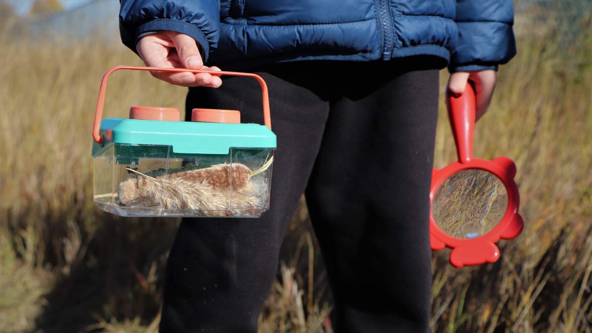 Plant identification is one way children learn through hands-on activities at the Get Outside! Outdoor Adventures Kids Club in Regina
