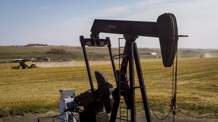 A family harvest their wheat crop around an oil and gas pumpjack near Cremona, Alta., Thursday, Oct. 1, 2020. 