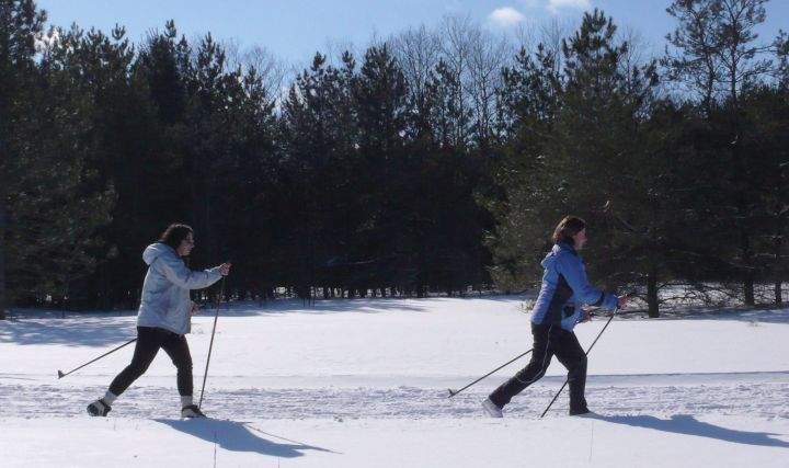 A file photo of cross-country skiers.