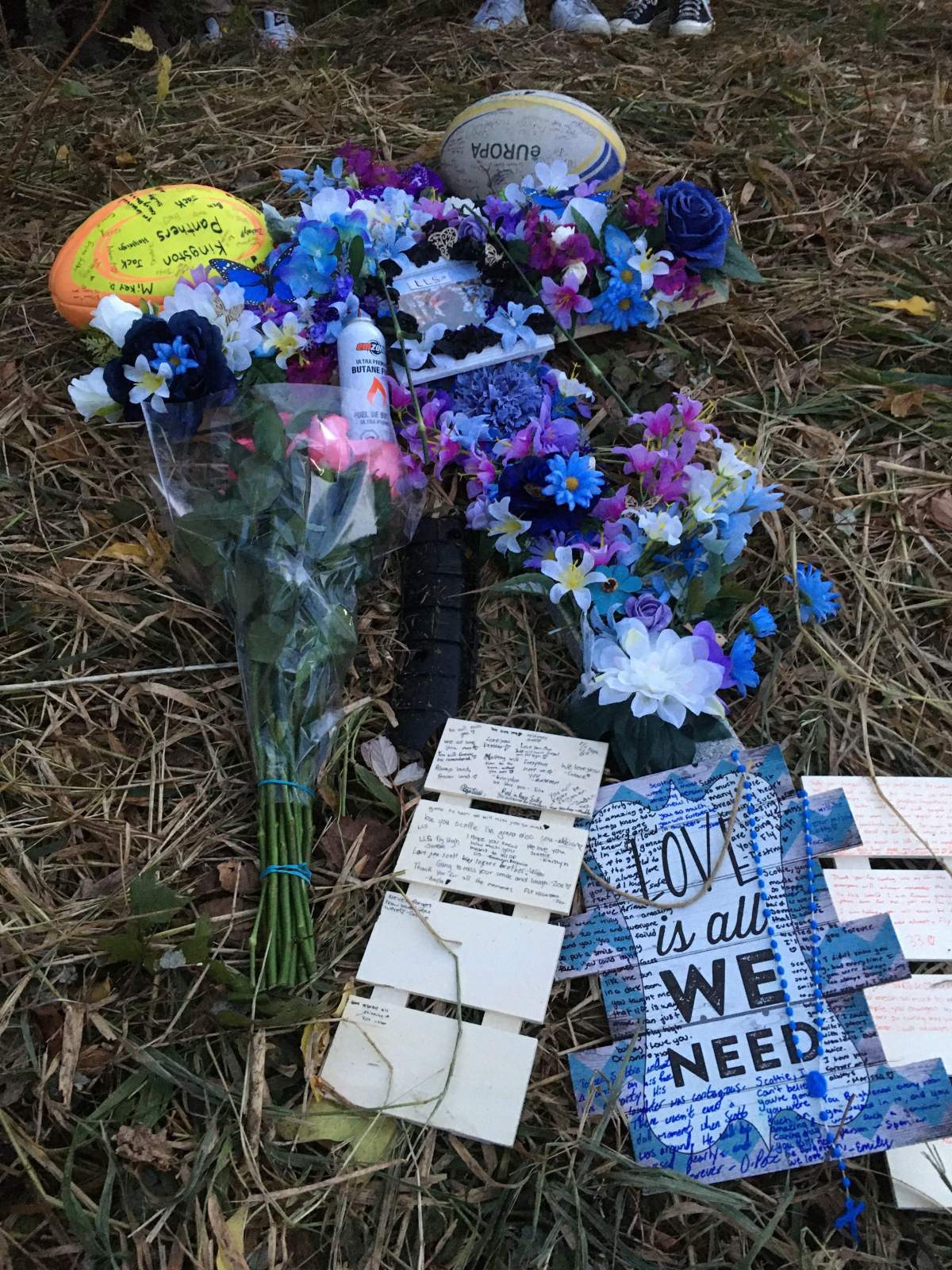 Hundreds gather for Kingston vigil to remember 16-year-old car crash victim - image