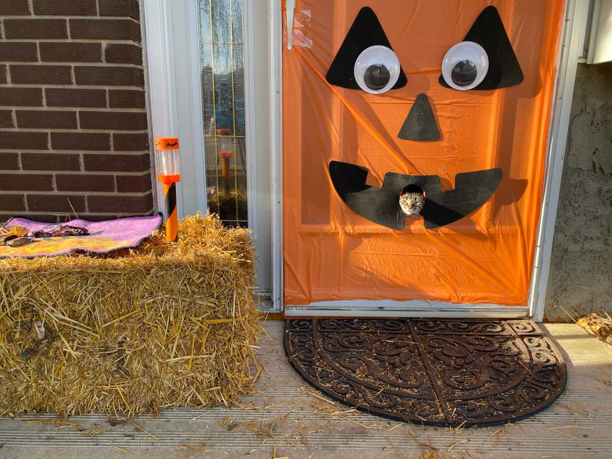 Jamie Wichart’s pumpkin chute