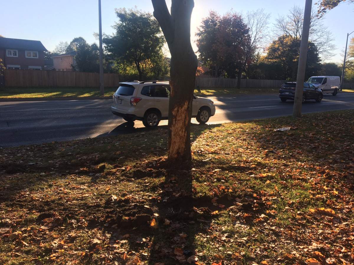A photo of the area of McCowan Road and McNicoll Avenue Tuesday morning.
