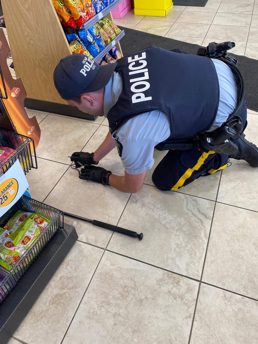 Alberta RCMP share ‘not typical’ story of slithery snake suspect in Cochrane - image