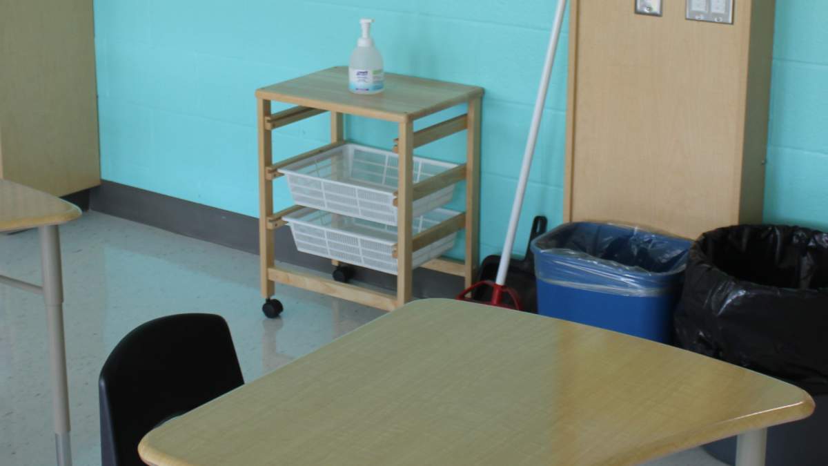 Coronavirus: Hamilton public schools report 4 new COVID-19 cases, McMaster reveals seventh case - image