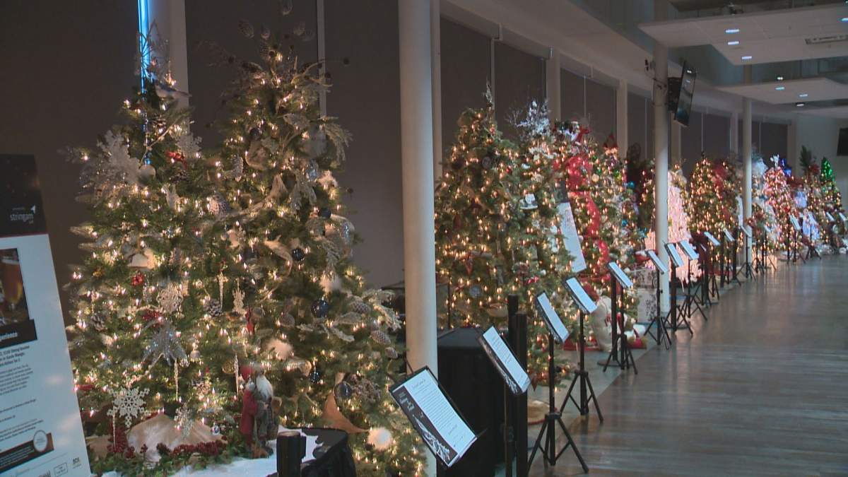The Chinook Regional Hospital Foundation has decided not to hold its annual Christmas Tree Festival due to COVID-19. 