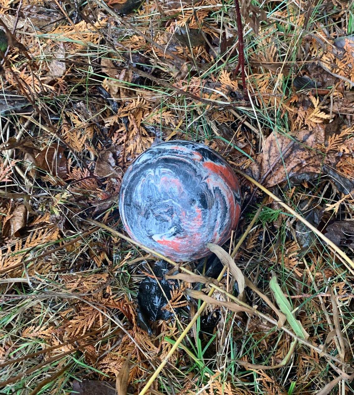 The bowling ball found in the incident.