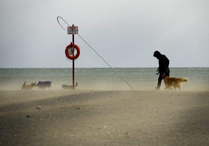A dog walker fights the wind along with blowing sandy conditions on Woodbine Beach in Toronto in this Feb. 25, 2019, file photo.