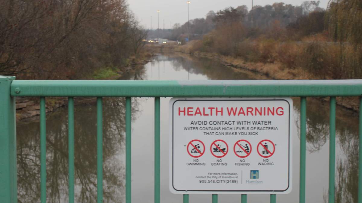 City consultants are working to pinpoint locations for dredging of sewage in Chedoke Creek, as algae makes  a spring appearance at Princess Point.