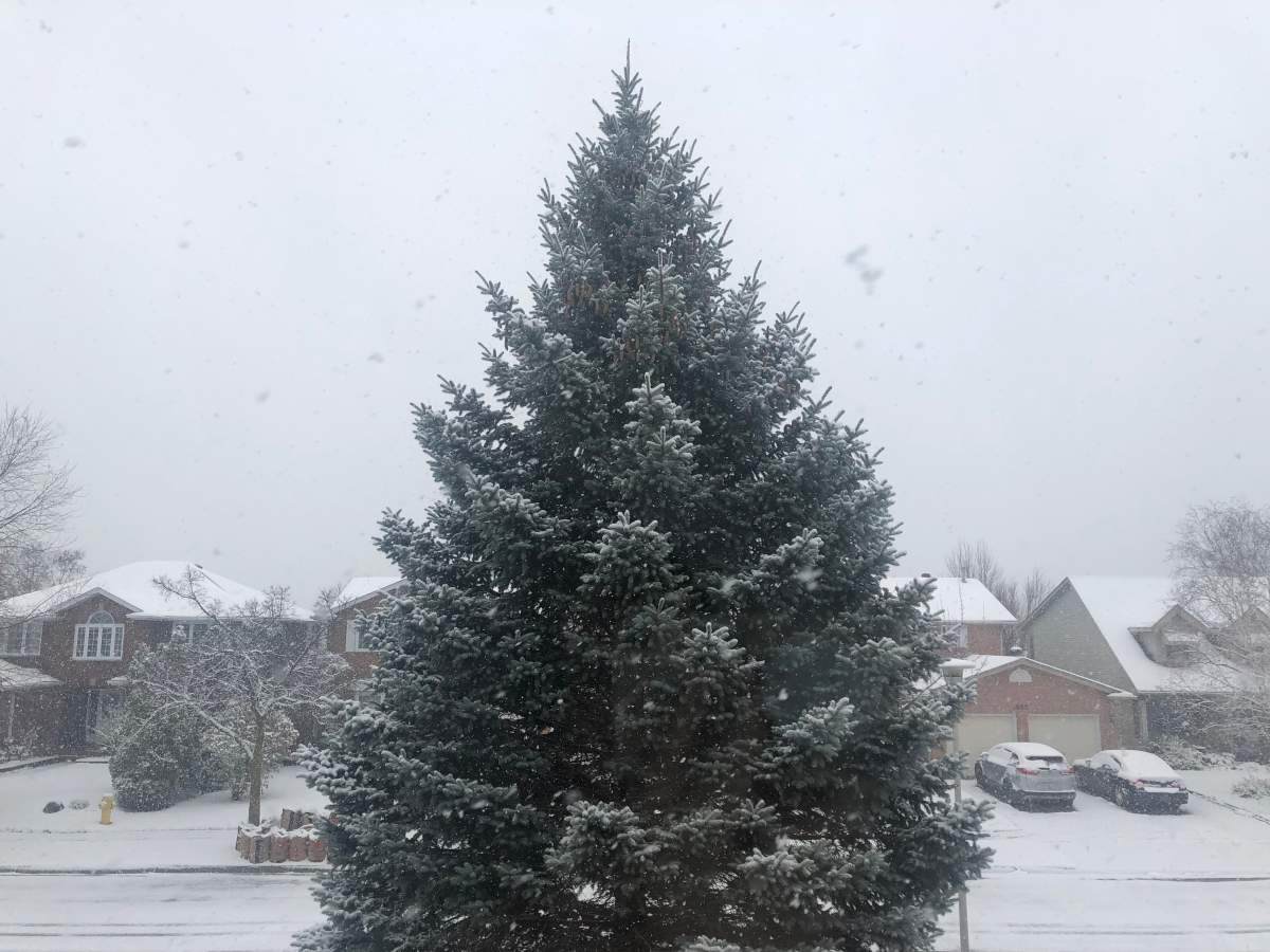 Environment Canada calling for a mixture of rain, freezing rain and snow in the London region over the next few days.