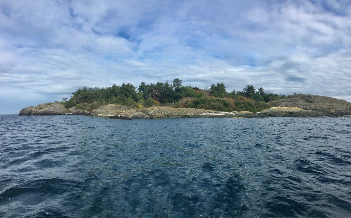 The BC Parks Foundation is trying to raise $200 thousand before Nov. 17 in an effort to buy West Ballenas Island in the Salish Sea and protect its ecosystem.