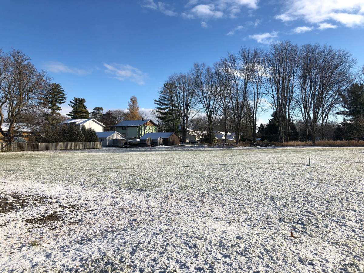 This empty plot of land will soon be full when construction begins in 2021 on 59 Brown St.