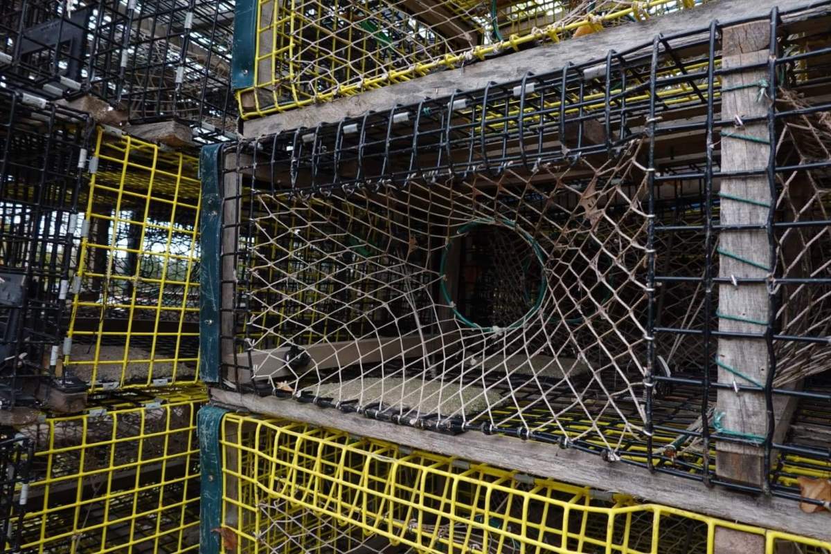 A number of lobster traps near Pictou Landing First Nation on Nov. 5, 2020. 
