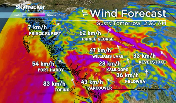 B.C. coast braces for heavy winds Sunday and Monday - image
