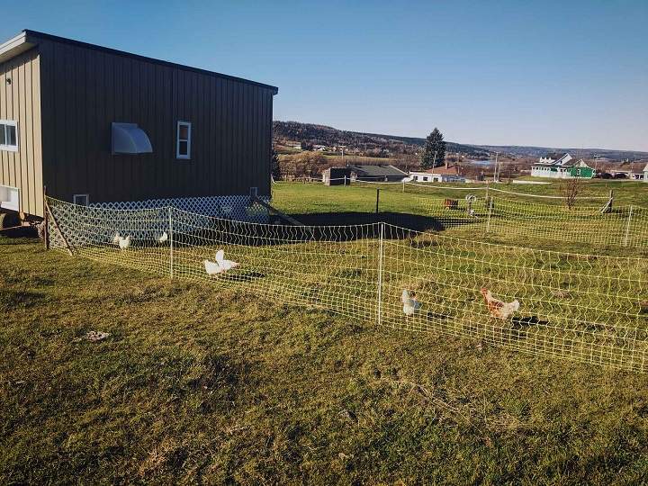 A side view of Justin’s new chicken coop with a view of the outdoor enclosure. Courtesy Make-a-Wish Canada