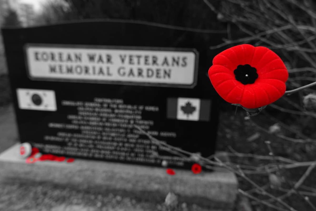 Poppy on stone