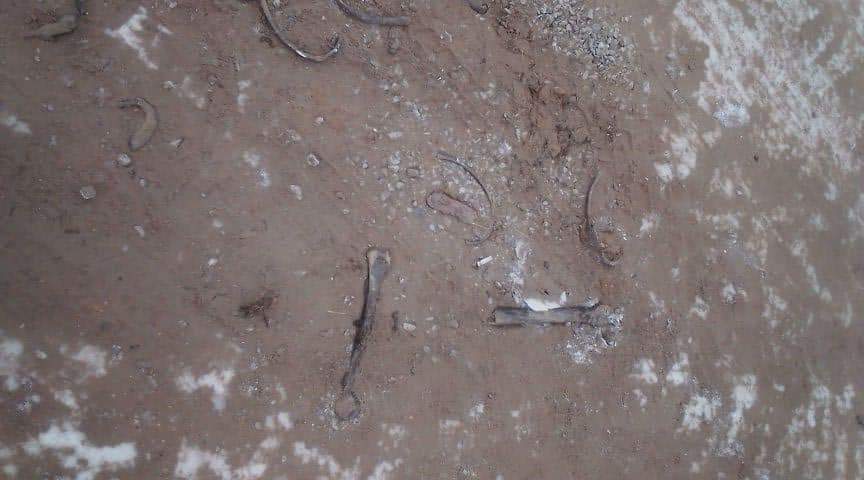 Human bones are shown embedded in a road in Kirensk, Siberia, Russia, in November 2020.
