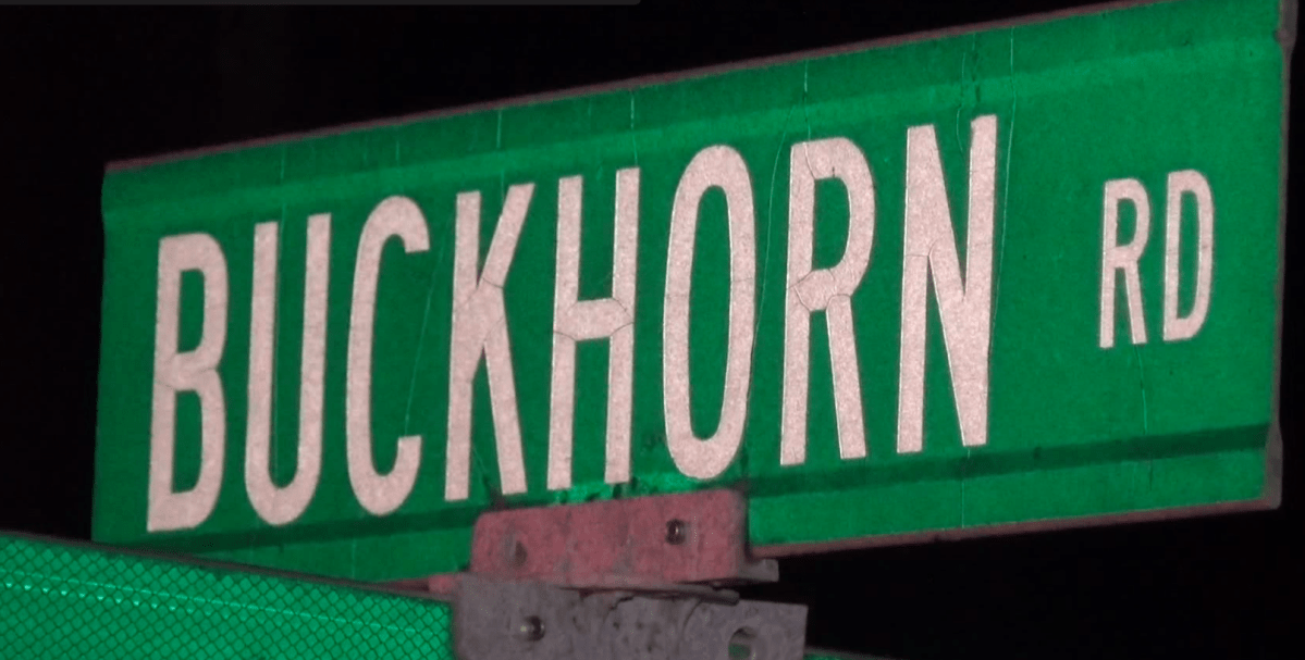 A family cat died in a house fire on Buckhorn Road in Selwyn Township on Sunday night.
