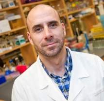 Dr. Todd Hatchette
