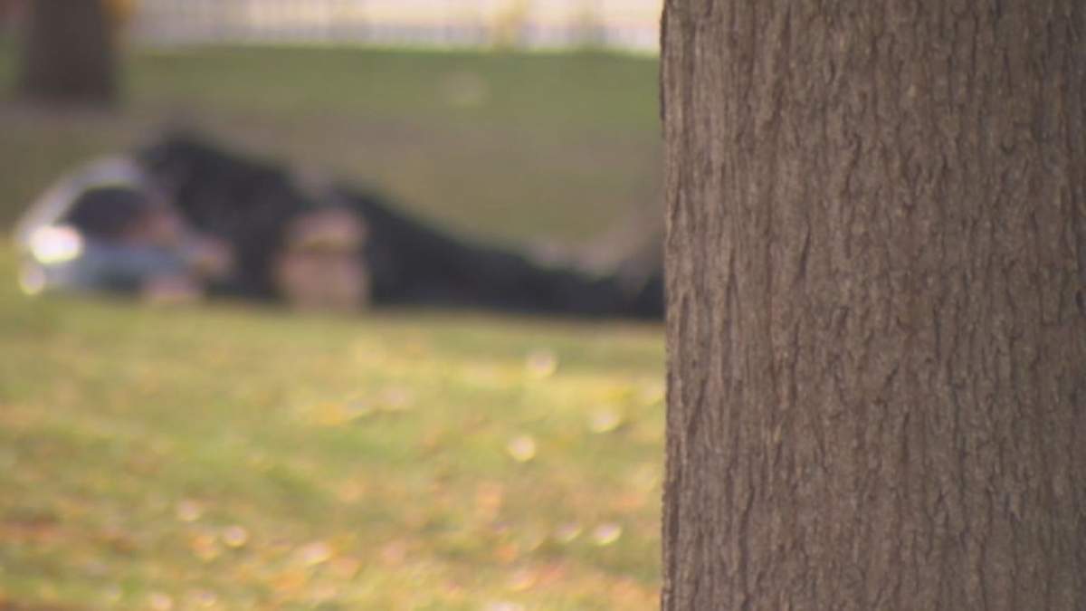 The project aims to clear up some of the fog left by data on homelessness that primarily relies on Canada's health care system.