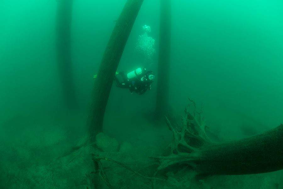 This file photo shows a scuba diver in the underwater forest beneath Lake McDonald in Glacier National Park, Montana.