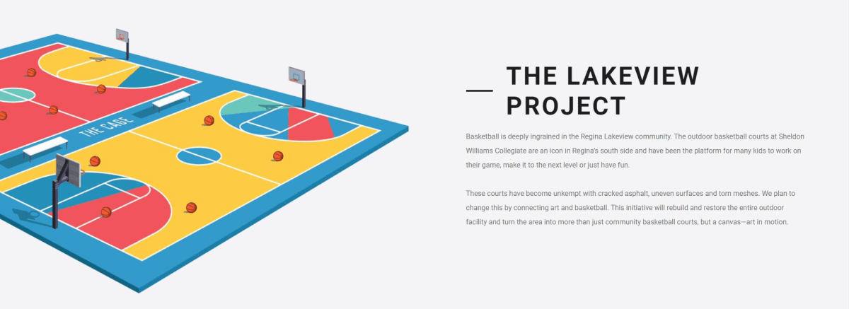 A screen grab from the Buckets and Borders website shows the colour organizers are hoping to inject into the Lakeview court.