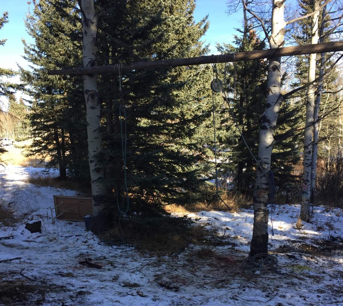 Alberta Fish and Wildlife says two men have been fined $22,000 for the illegal killing of a grizzly bear that also led to an assault.