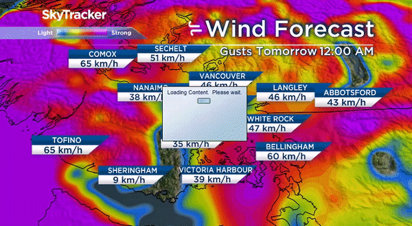 Wind warning in effect with gusts up to 90 km/h possible for parts of B.C.’s south coast - image