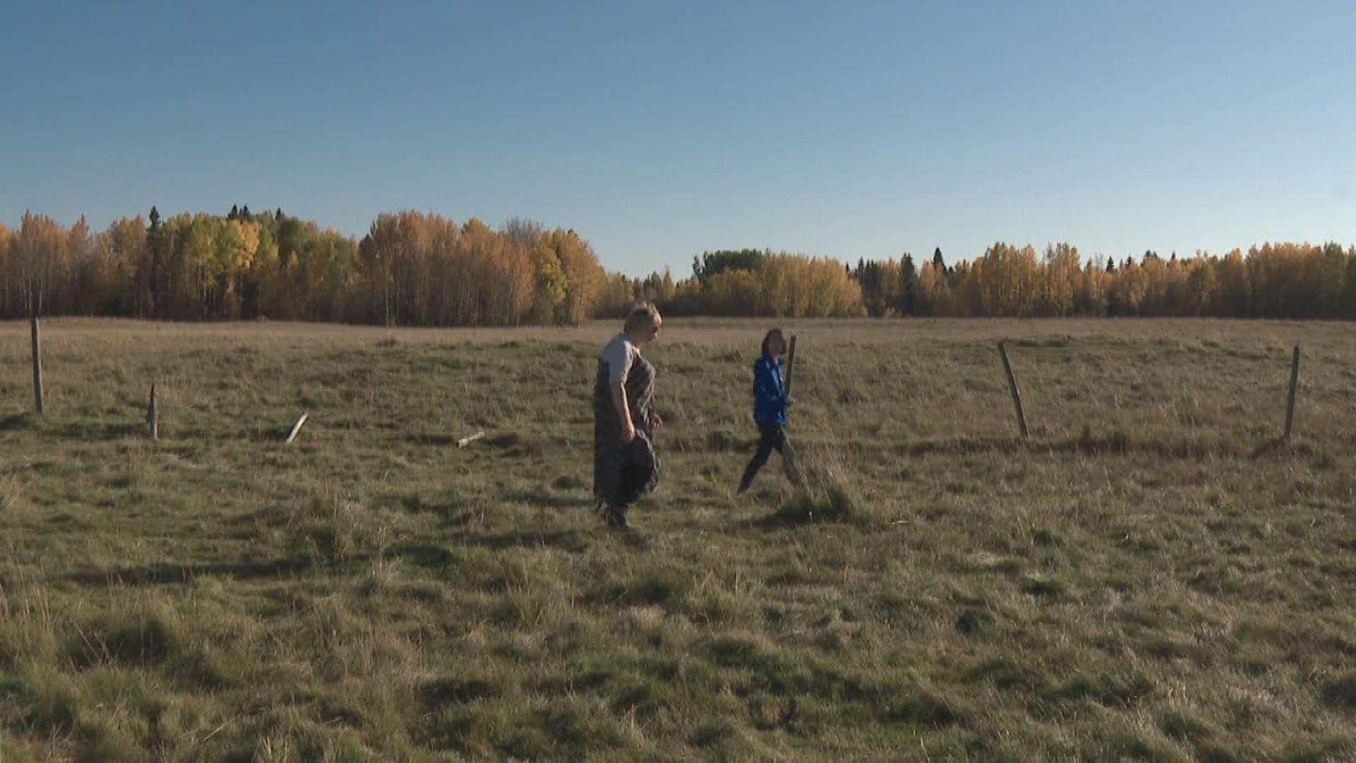 Verna Phippen walks with reporter Julia Wong on her property in Westerose.