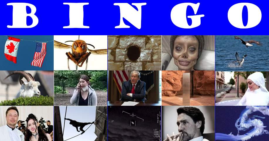 This composite photo shows viral moments from 2020.
