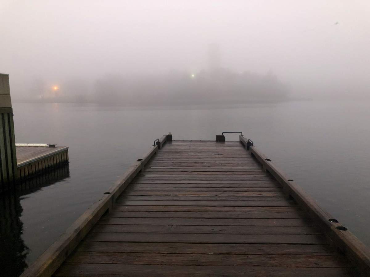 Halifax Regional Police say 12 people face a $1,000 fine for violating COVID-19 restrictions by gathering at this dock on the Northwest Arm. 