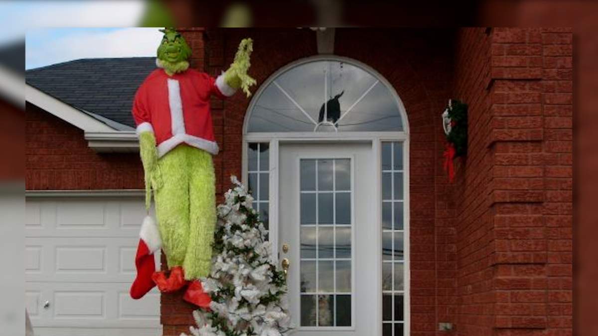 Bath, Ont. woman says real-life Grinch stole life-size one from her front yard - image