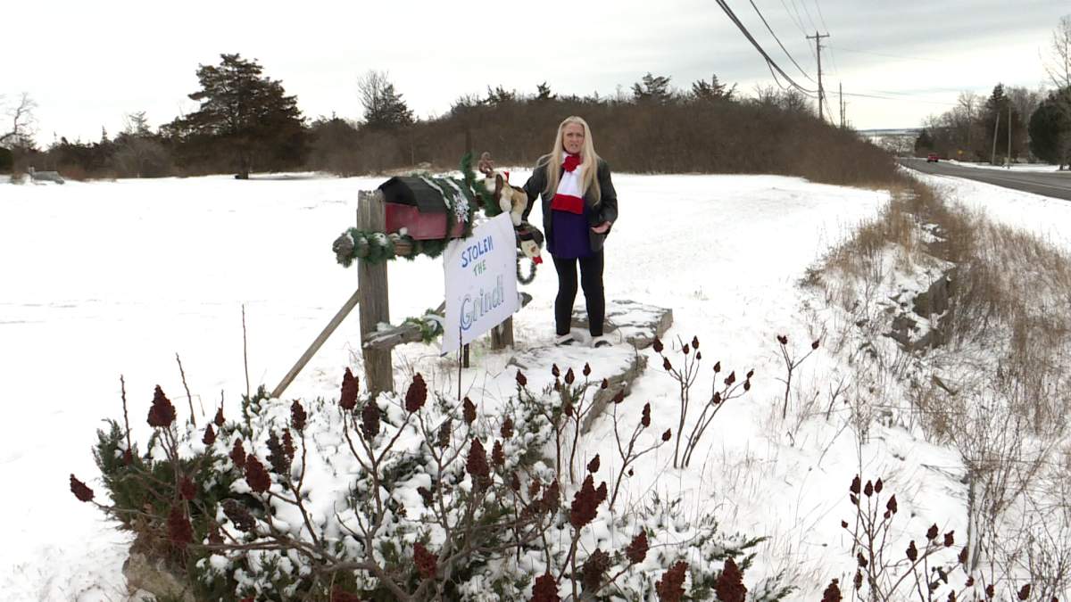 Bath, Ont. woman says real-life Grinch stole life-size one from her front yard - image