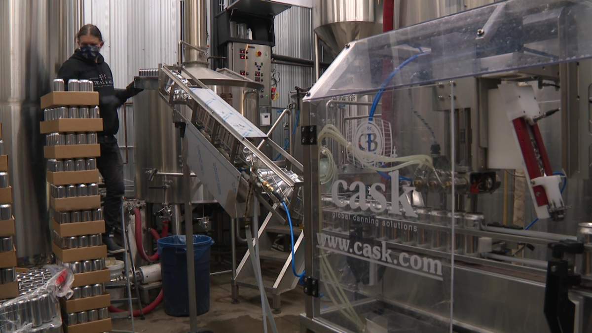 Beer being canned at Town Square Brewing in Edmonton, Alta.