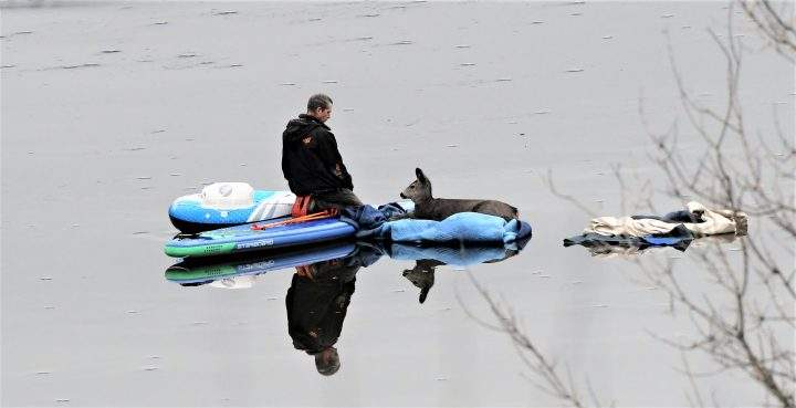 A nature photographer was able to capture this photo of the daring deer rescue. Credit: Brent Garner.