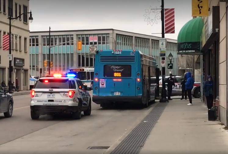 Suspect in custody following machete attack at Kingston motel and stabbing on Kingston Transit bus - image