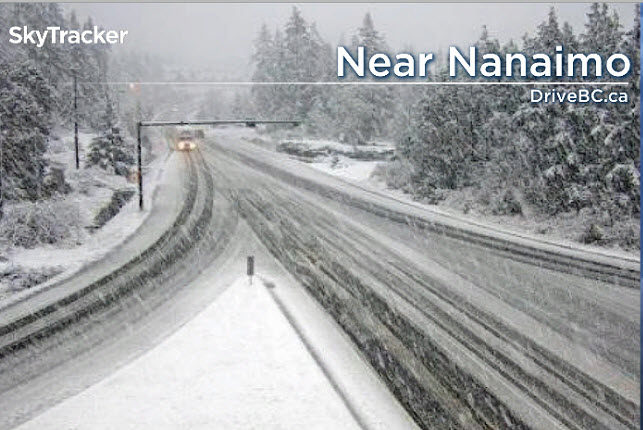 A shot of the snow near Nanaimo Monday morning. Credit: Global SkyTracker.