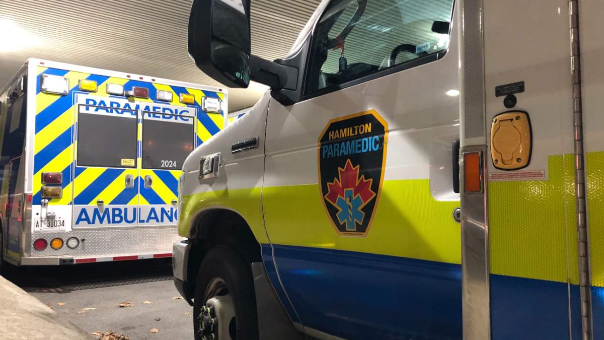 Expert says paramedics on trial in Hamilton made ‘wrong decision’ in Al-Hasnawi case - image
