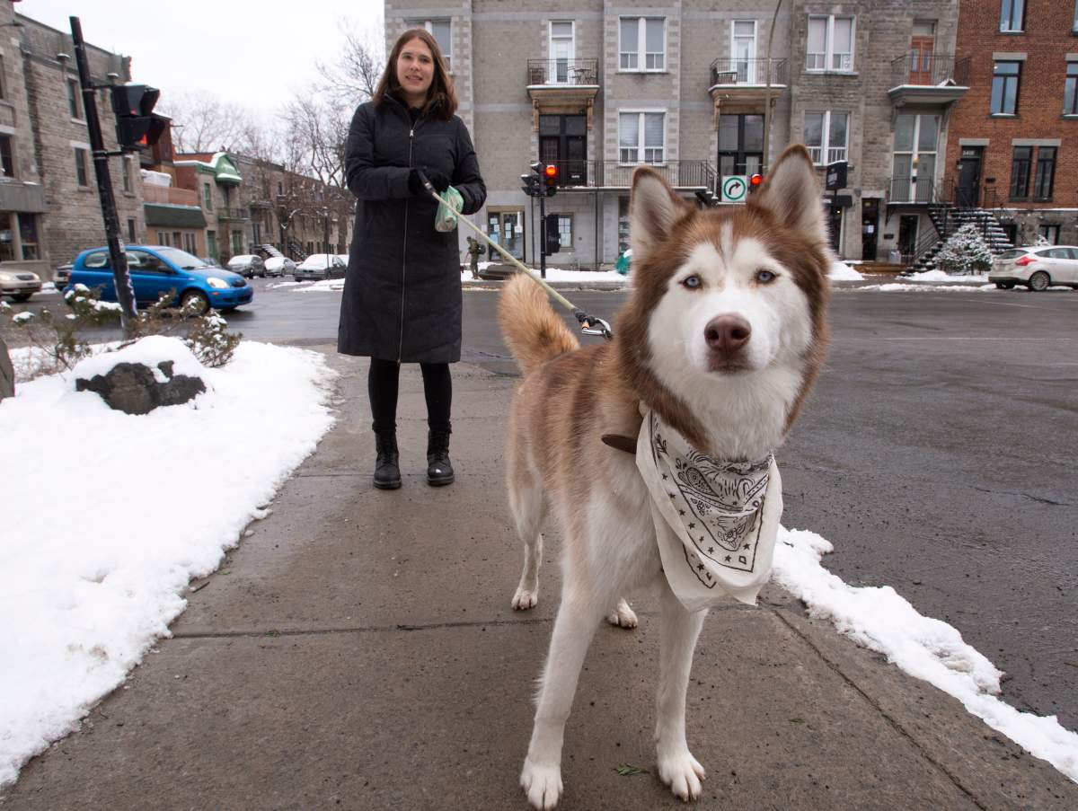 Ita Skoblinski walks her dog Waylon, Tuesday, January 12, 2021 in Montreal. Skoblinski adopted her dog during the pandemic and posted a joking offer online to let people walk her dog after curfew and got tons of answers.