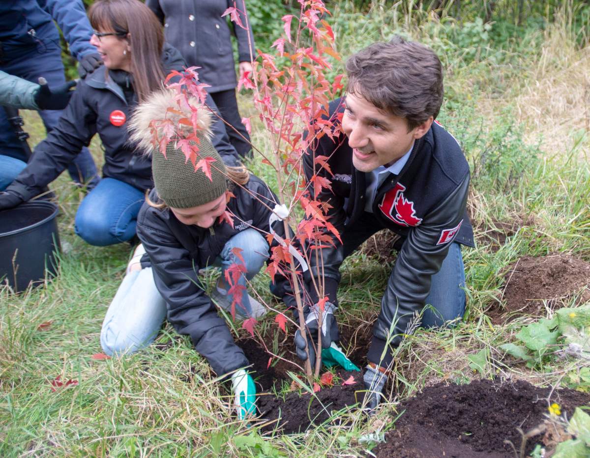 Liberal Leader Justin Trudeau and his daughter, Ella-Grace, plant a tree while campaigning in Saint-Anaclet, Que., on Friday, October 4, 2019. 