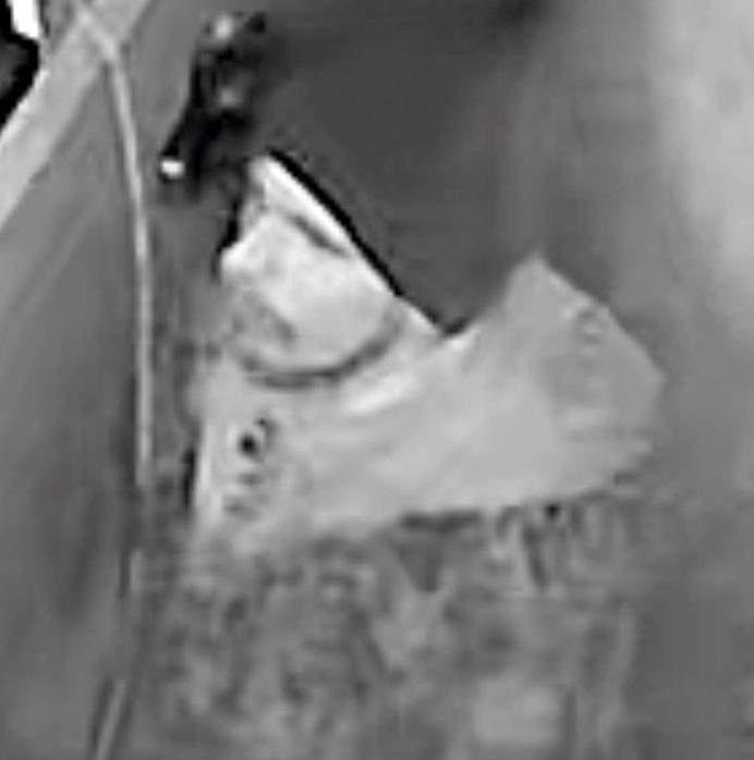 Peterborough County OPP seek the identity of this man in a theft investigation in December.