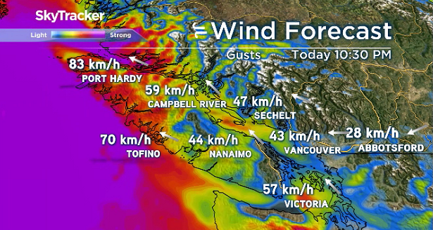 Wind warning issued for northern Vancouver Island - image