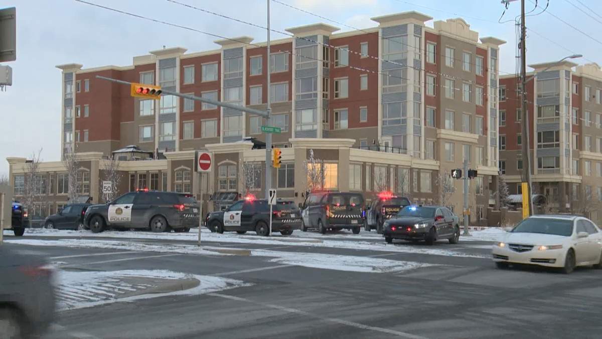 A woman wielding a machete was taken into custody after nine hours of police negotiations at an apartment complex on Inglewood Park S.E.