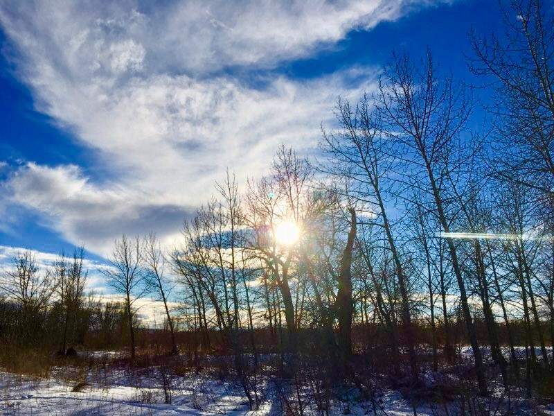 Fish Creek Park