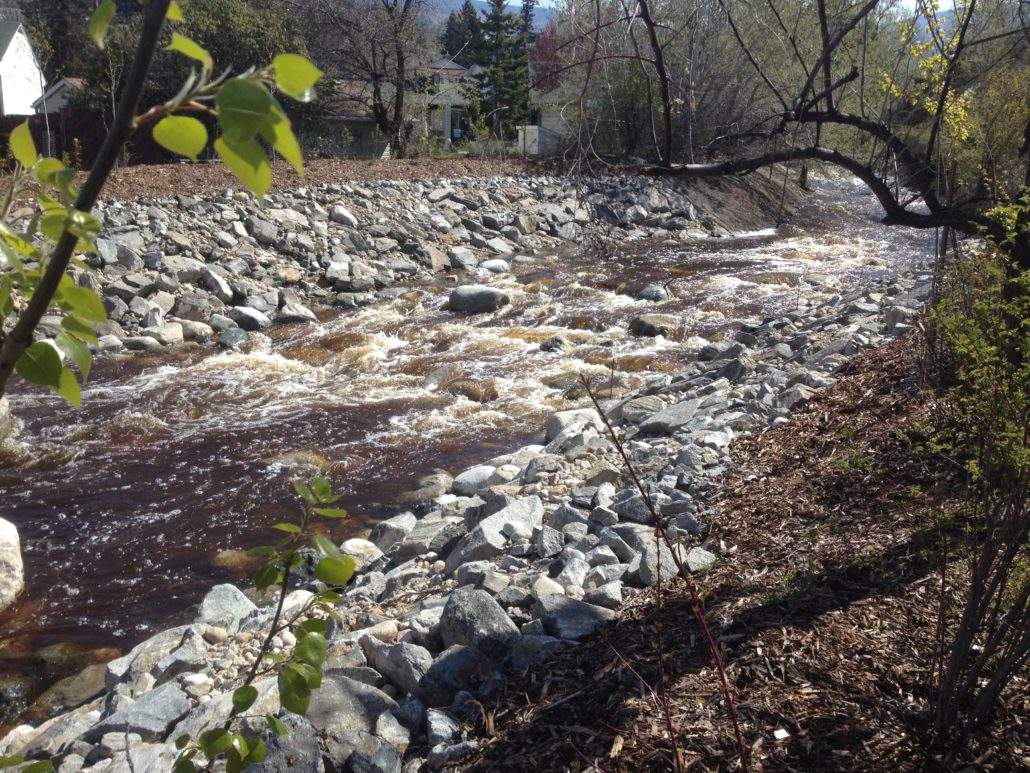 UBC Okanagan professor suggests new approach to ‘limit disparities’ in forest-water research - image