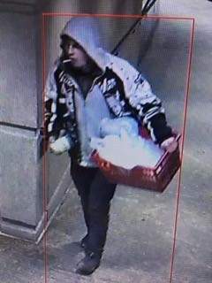 The suspect in an alleged arson attack on a homeless woman in Vancouver on Dec. 13, 2020, is seen in this police handout.