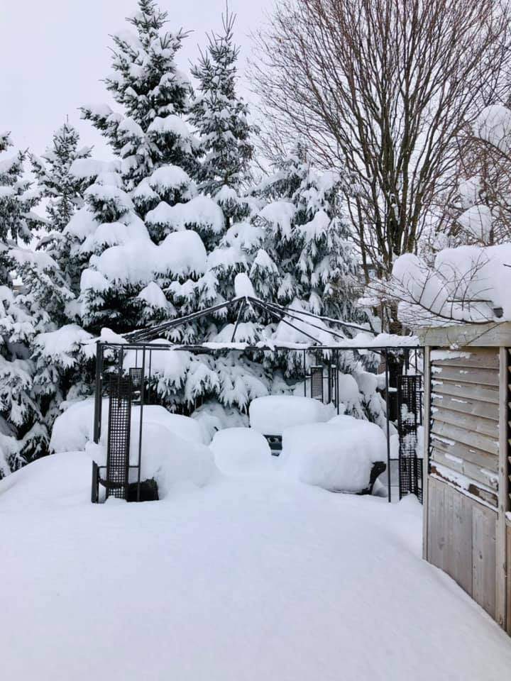 Snowfall in Ilderton, Ont.